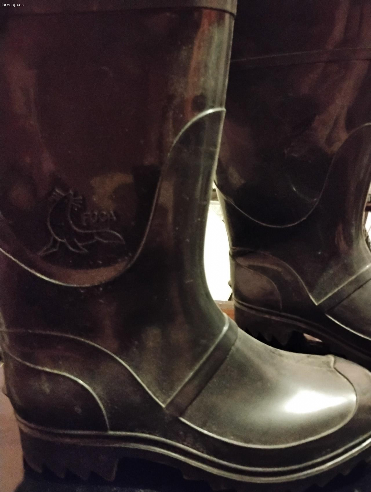 BOTAS DE AGUA. Número 42
